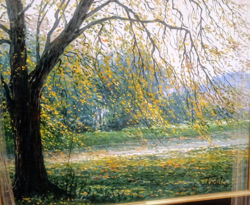 67bd1085cf2f8df615d5e187fe2bf6caf6f466b2