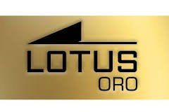 RELOJES DE ORO